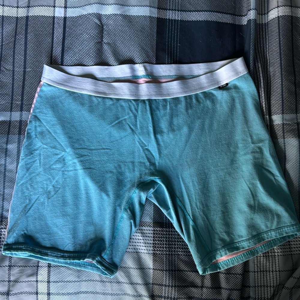 TomboyX 9” boxer briefs. 2X. Pink and blue. Trans pride.